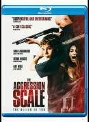 The Aggression Scale