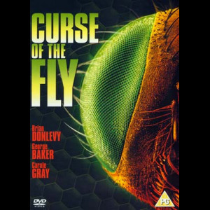  The Curse Of The Fly (UDEN COVER)