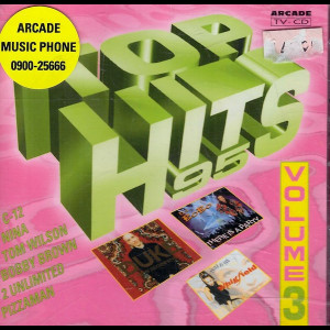  Top Hits 95 Volume 3