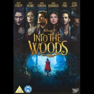  Into The Woods (UDEN COVER)