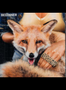 c23465 Beginner: Advanced Chemistry