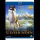 Ulvehunden