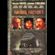 Animal Factory