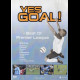 Yes Goal: Best Goals Of Premier League