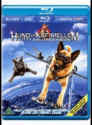 Hund Og Kat Imellem: Kitty Galores H&aelig;vn