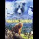 Walking Thunder