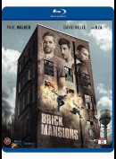 Brick Mansions