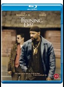 Training Day