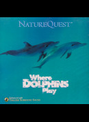 c4424 Where Dolphins Play