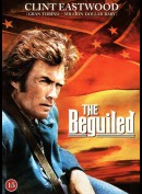 The Beguiled