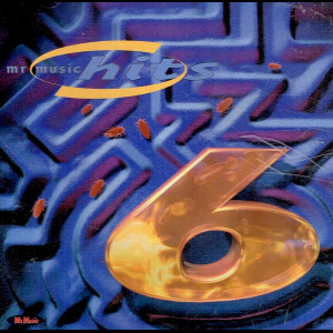  Mr Music Hits Vol. 6 2001